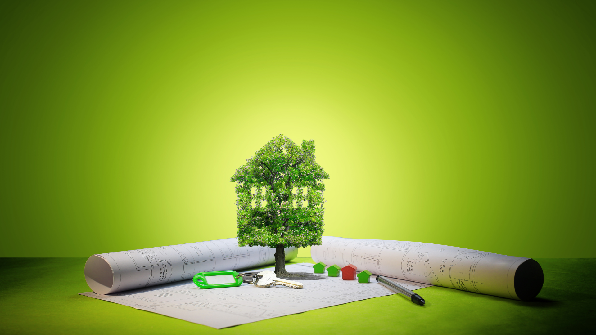 Conseils et Actualités