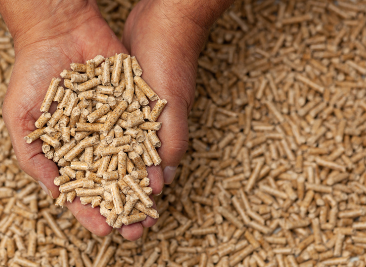 Bien choisir ses granulés de bois : les 3 labels à connaître